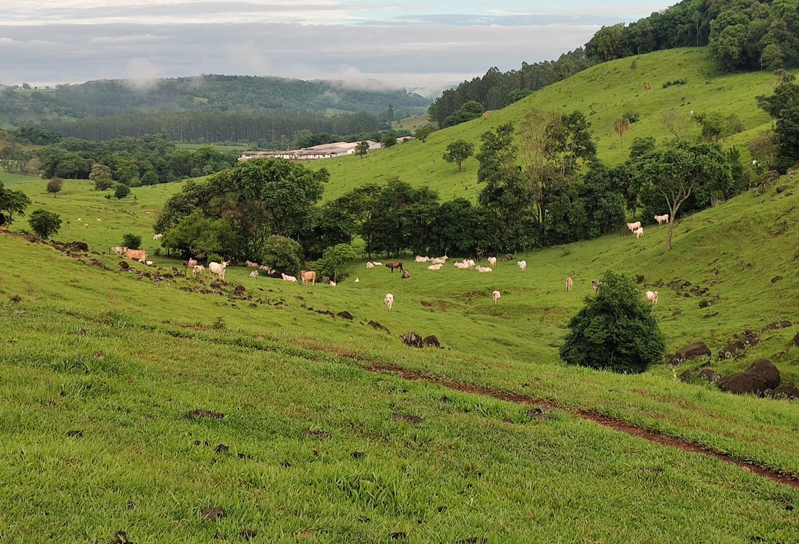 Blog oagronegócio brasileiro