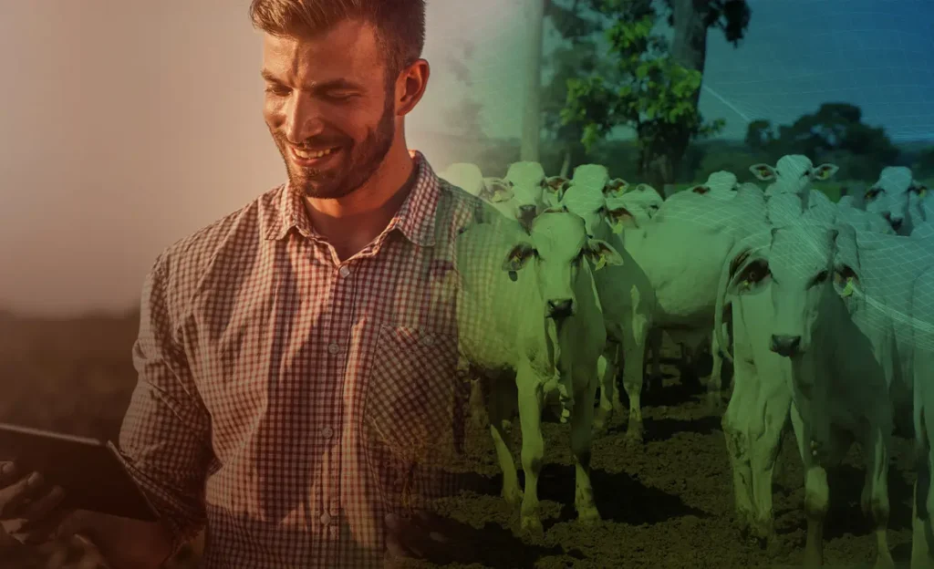 Gestão da propriedade rural