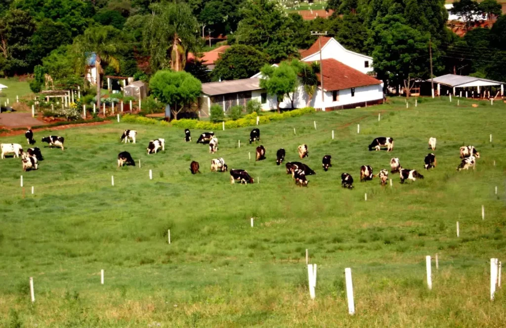 Jovens talentos no agronegócio conectados à agricultura 4.0"