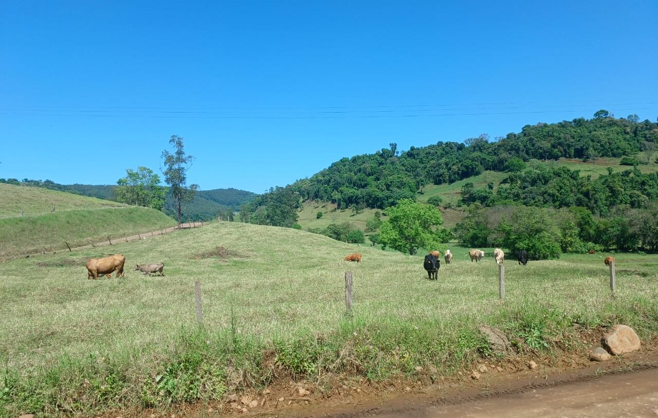 Blog Oagrobrasileiro