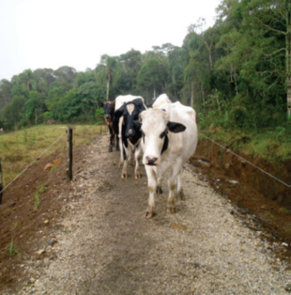 Drenagem do corredor