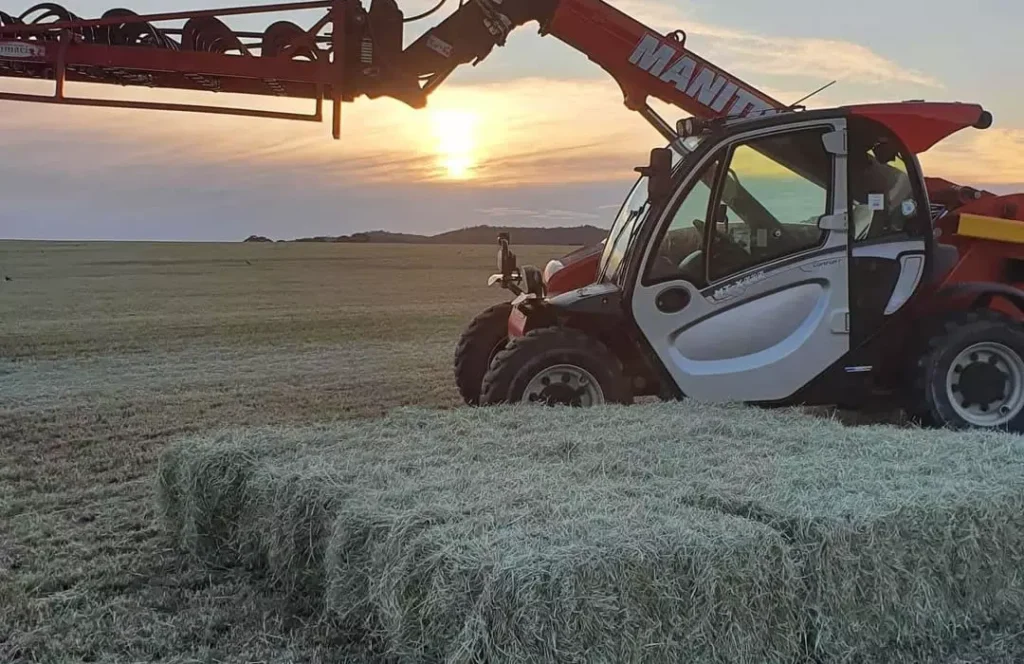 Guia do Pré-Secado e Feno na Nutrição Animal