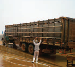 LAVAGEM DE VEICULO DE TRANSPORTE DE BOVINOS