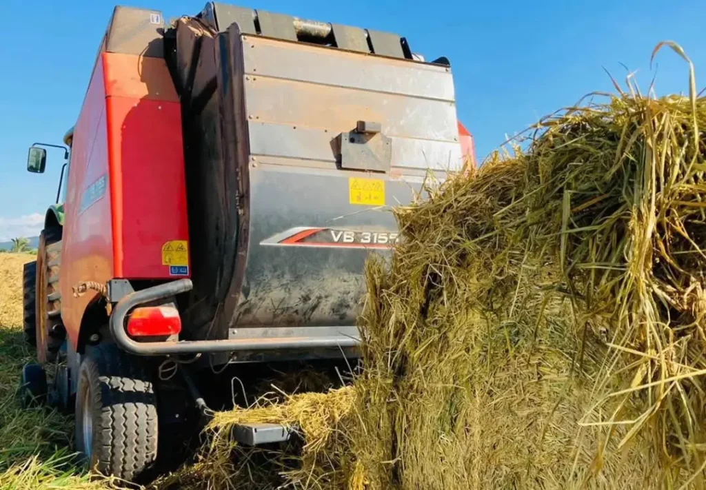 Maquina de colher pre secado