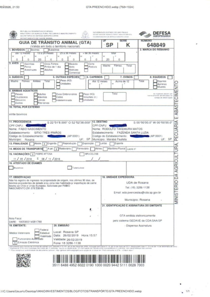 Modelo de guia de transito animal engorda