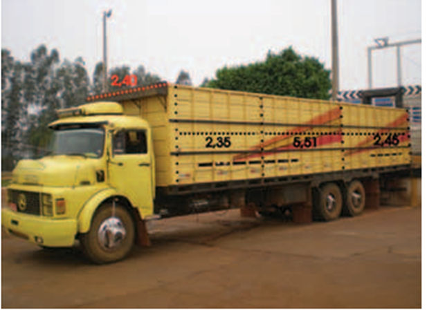 Tamanho do veiculo para transporte de bovinos