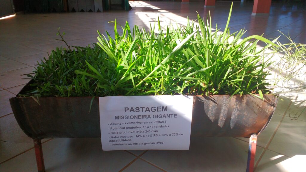 Melhoramento de pastagens nativas
